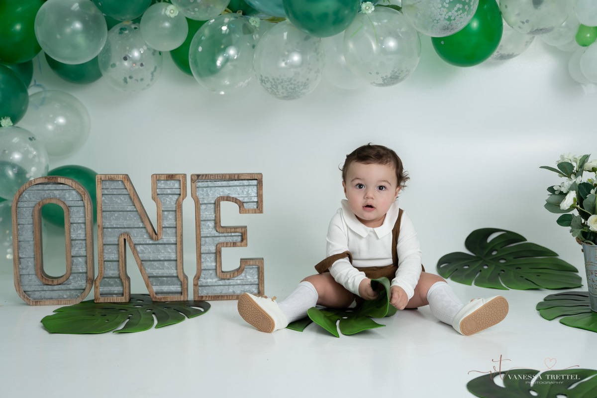 smash cake photos
smash cake photographer
one year photos
kids photographer
child photography
cake smash photography
1st birthday photoshoot
Vanessa Trettel Photography
wild one smash cake