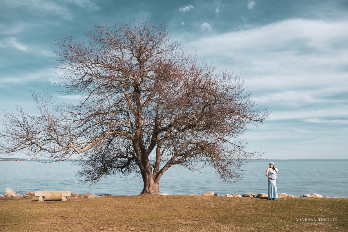 Eolia Mansion at Harkness State Park
Maternity Photo
Blue dress
Vanessa Trettel Photography