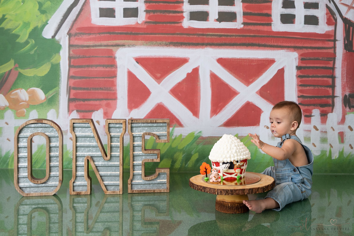 Farm Smash Cake studio photo
Boy 1st year photography
Studio Photoshoot
Ballon green red garland
Vanessa Trettel Photography
Family photographer in CT