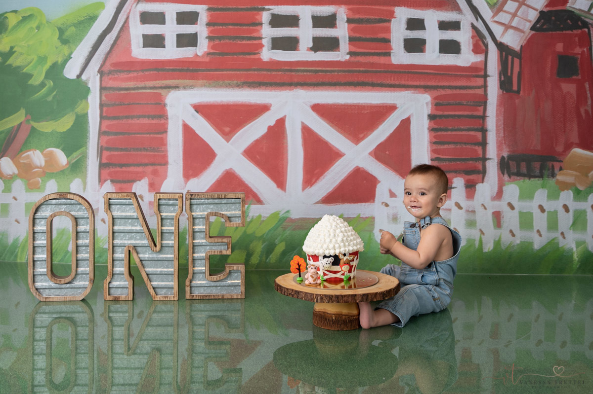 Farm Smash Cake studio photo
Boy 1st year photography
Studio Photoshoot
Ballon green red garland
Vanessa Trettel Photography
Family photographer in CT