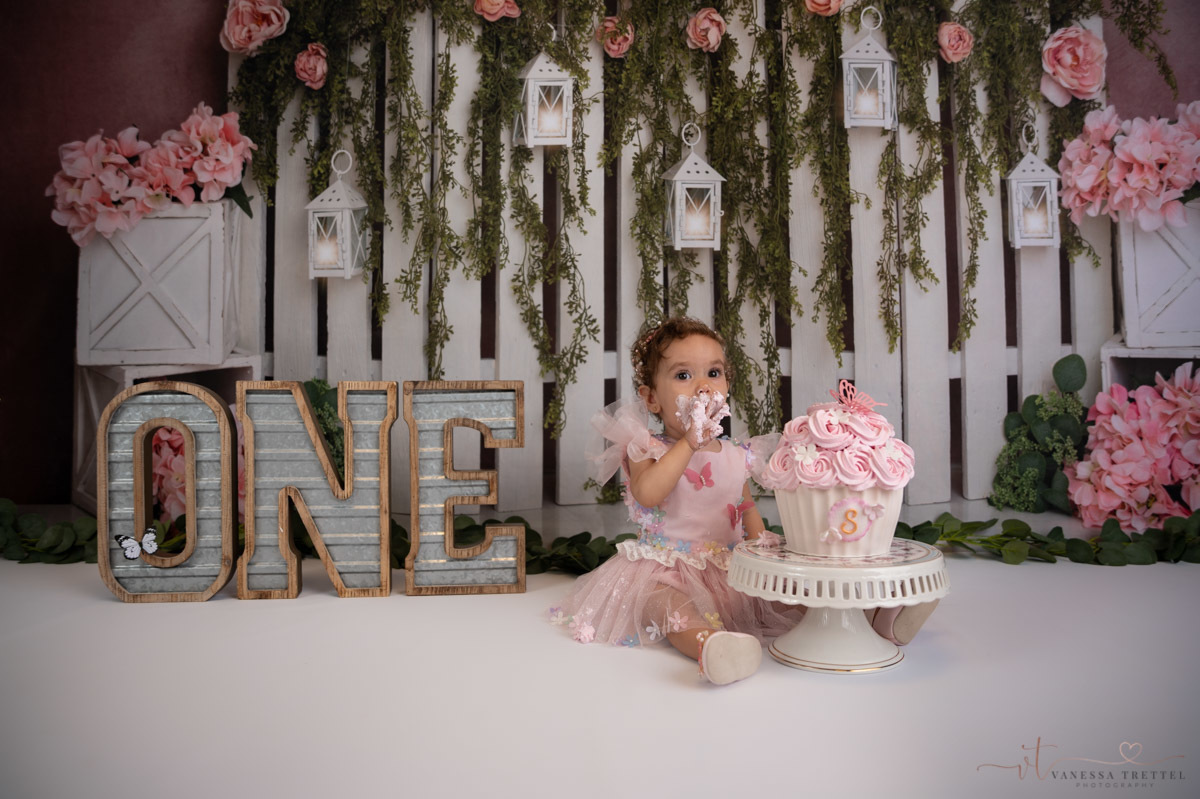 first year photographer
cake smash photography
Girl 1st birthday in the studio
smash cake butterfly decor idea
Vanessa Trettel Photography
pink balloon garland
baby photographer in CT