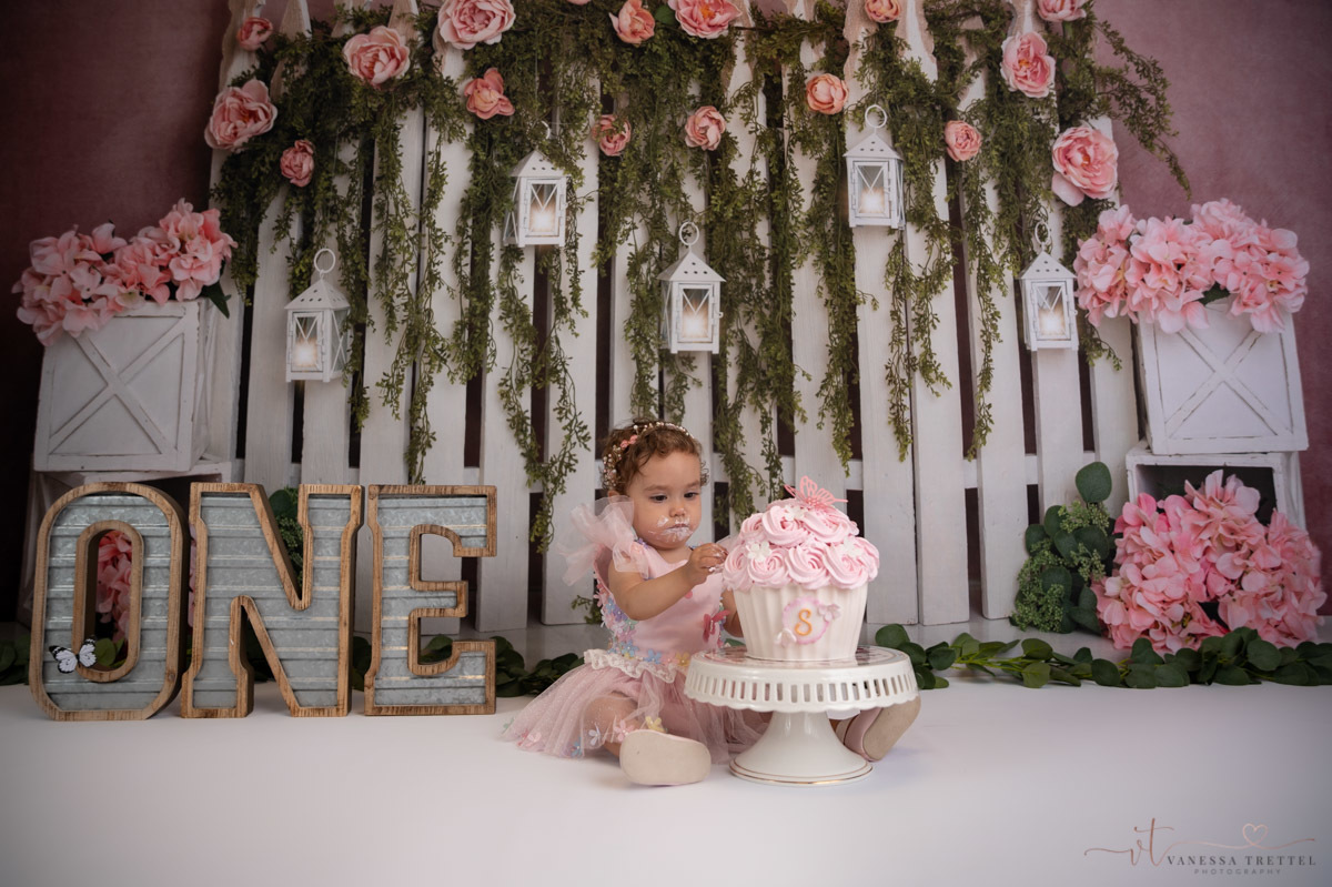 first year photographer
cake smash photography
Girl 1st birthday in the studio
smash cake butterfly decor idea
Vanessa Trettel Photography
pink balloon garland
baby photographer in CT