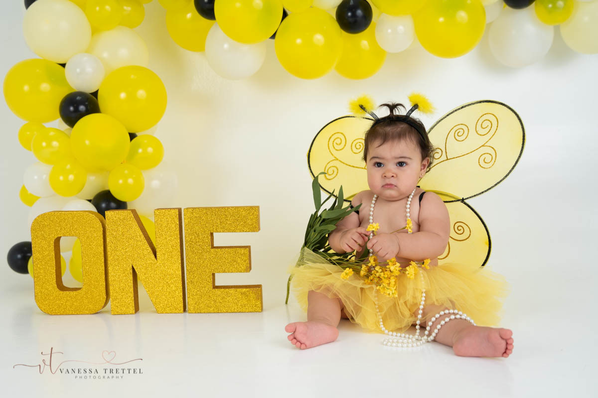first year photographer
cake smash photography
Girl 1st birthday in the studio
smash cake bee decor idea
Vanessa Trettel Photography
yellow balloon garland
Bee one year decor
baby photographer in CT