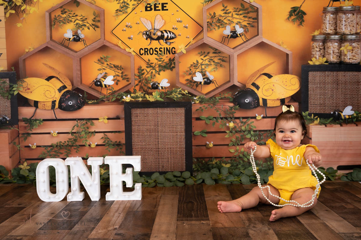 first year photographer
cake smash photography
Girl 1st birthday in the studio
smash cake bee decor idea
Vanessa Trettel Photography
yellow balloon garland
Bee one year decor
baby photographer in CT