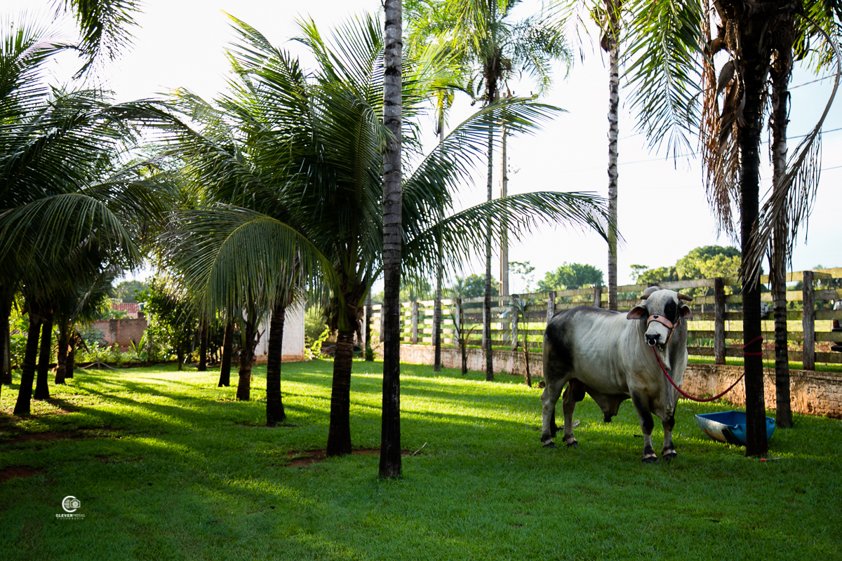 fotos de casamento country em rondonopolis mt