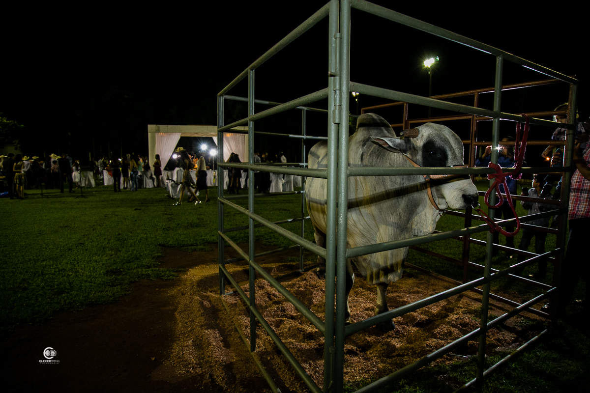 fotos de casamento country em rondonopolis mt