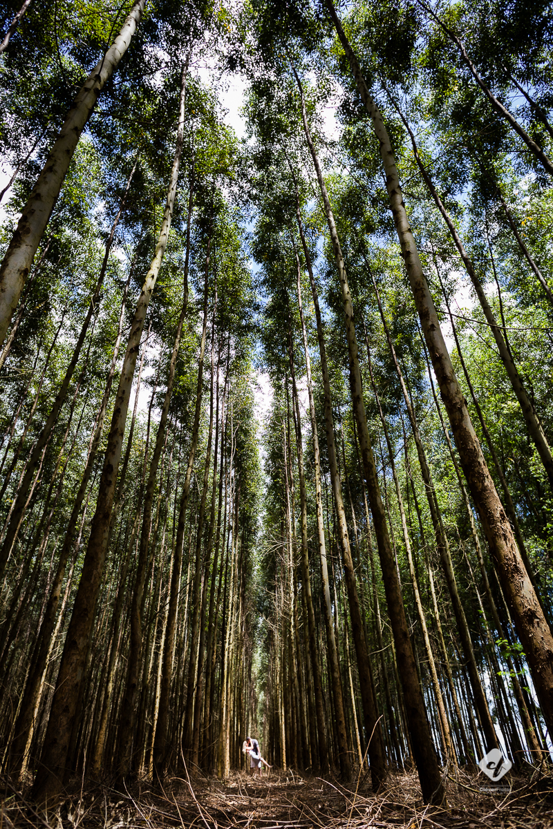 Ensaio-Fotografico-de-Mayara-Joabe-Book-de-Casal-Mato-Grosso-