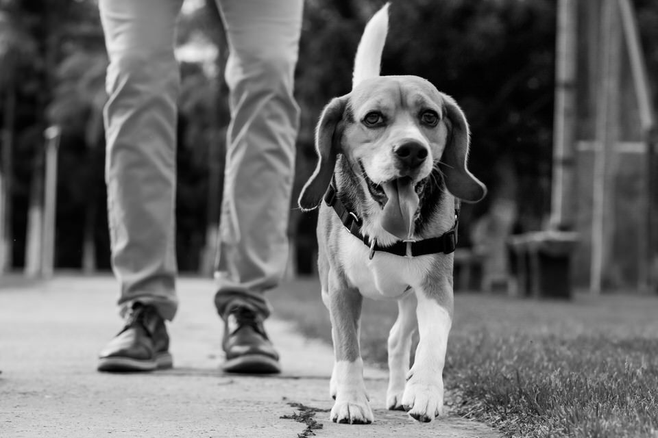 Ensaio Pre wedding, por do sol, casamento, Rondonópolis MT, fotografo Rondonópolis Clever Freitas, ensaio de casal, PB , Preto e Branco