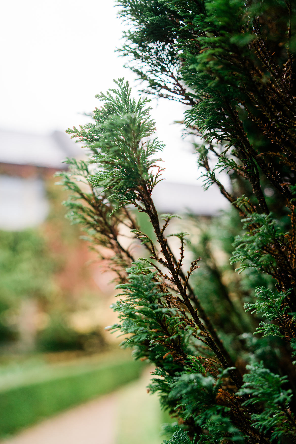 BrookLodge & Macreddin Village