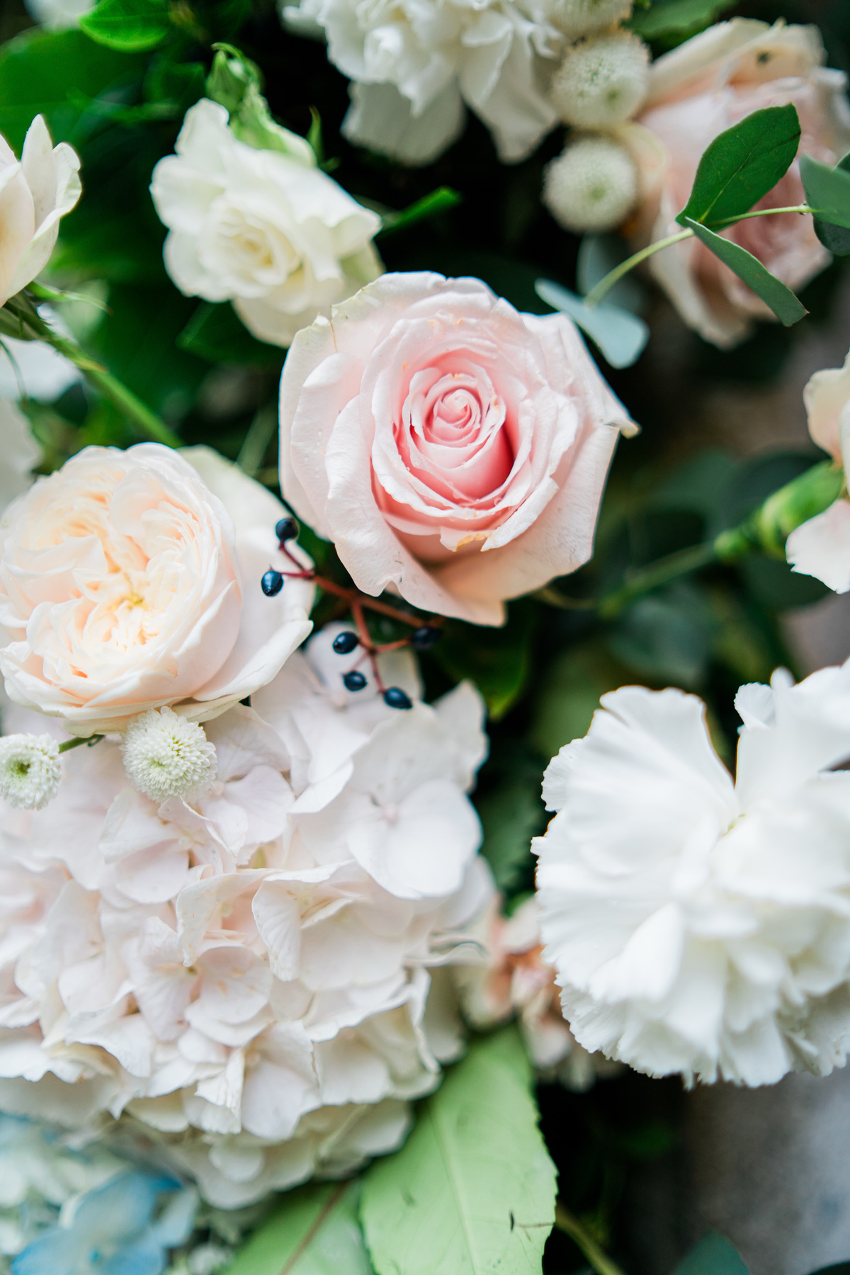 BrookLodge & Macreddin Village