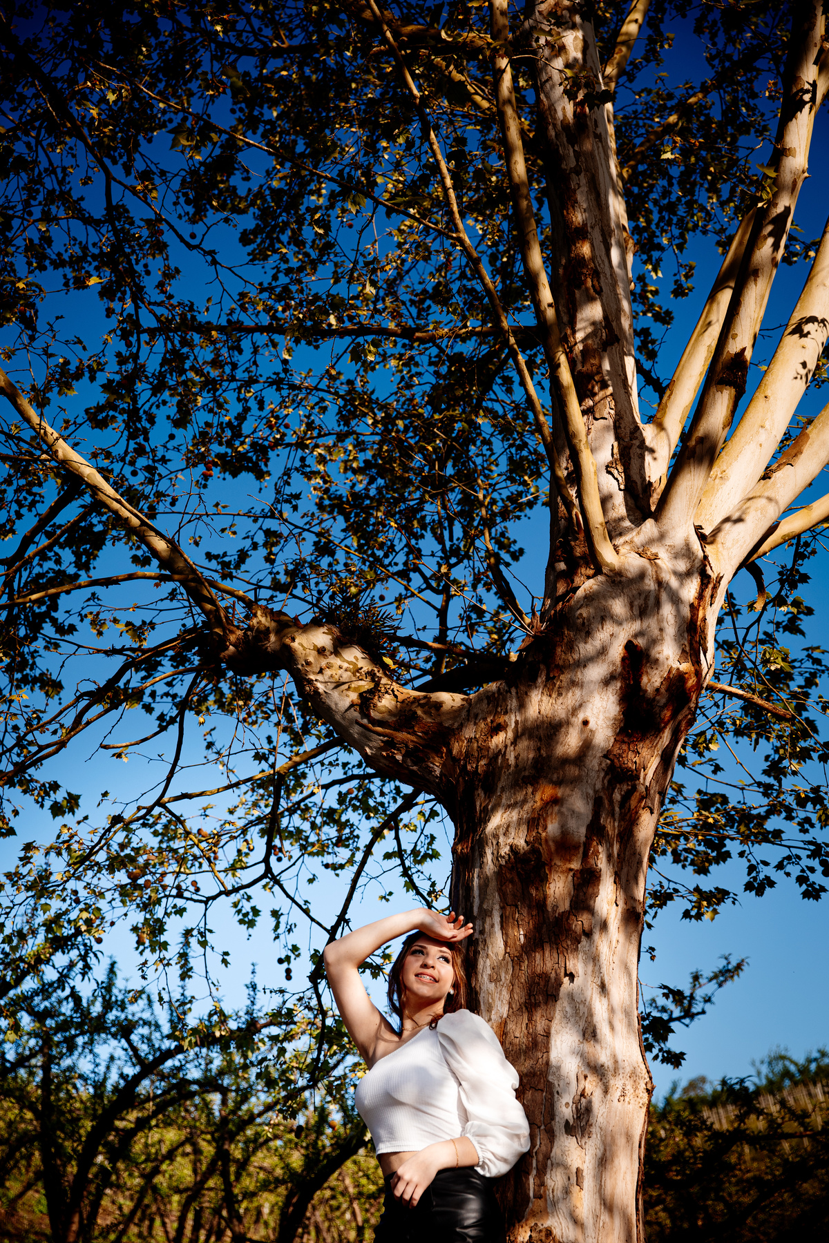 Ensaio externo ensaio de 15 15 anos ensaio fotográfico Serra Gaúcha Debutantes Aline Bortolini fotografia garibaldi - RS Vale dos Vinhedos Aline Bortolini Fotografia meu 15 2021 debutante  fotografia externa fotografia de família 