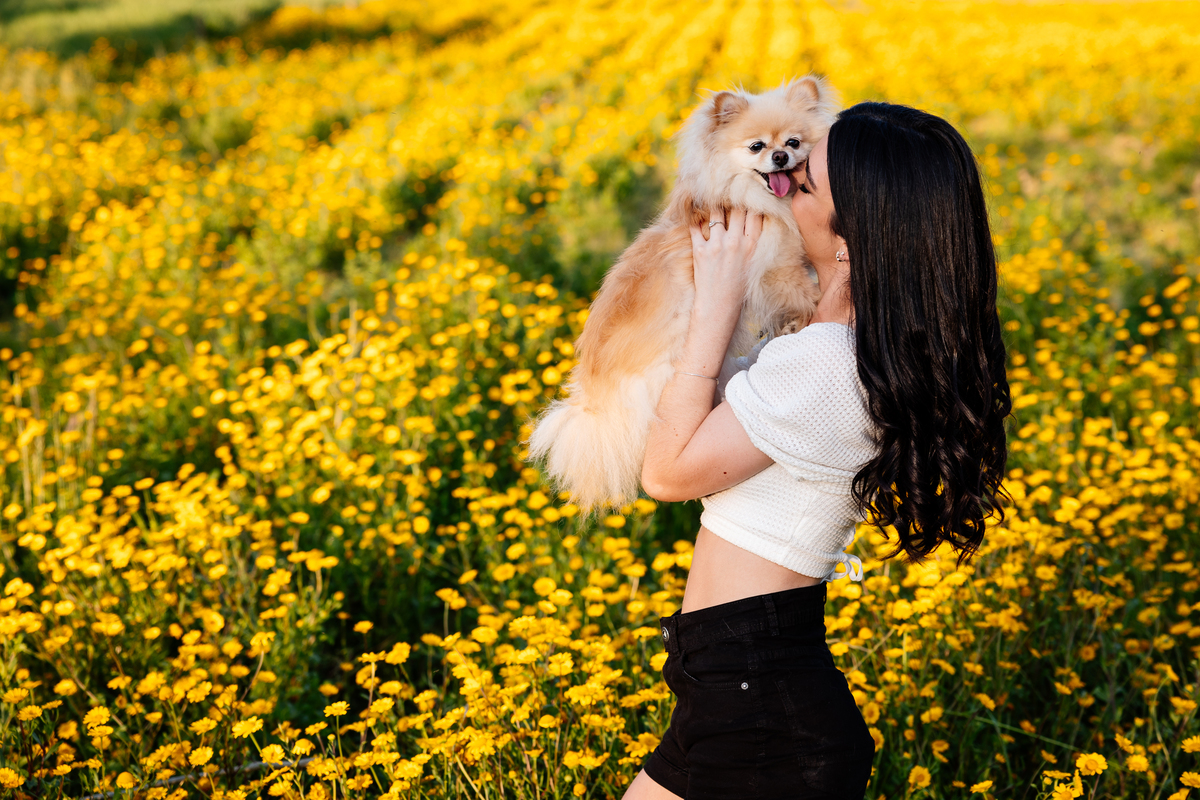 Ensaio externo ensaio de 15 15 anos ensaio fotográfico Serra Gaúcha Debutantes Aline Bortolini fotografia garibaldi - RS Vale dos Vinhedos Aline Bortolini Fotografia meu 15 2023 debutante  fotografia externa fotografia de família 