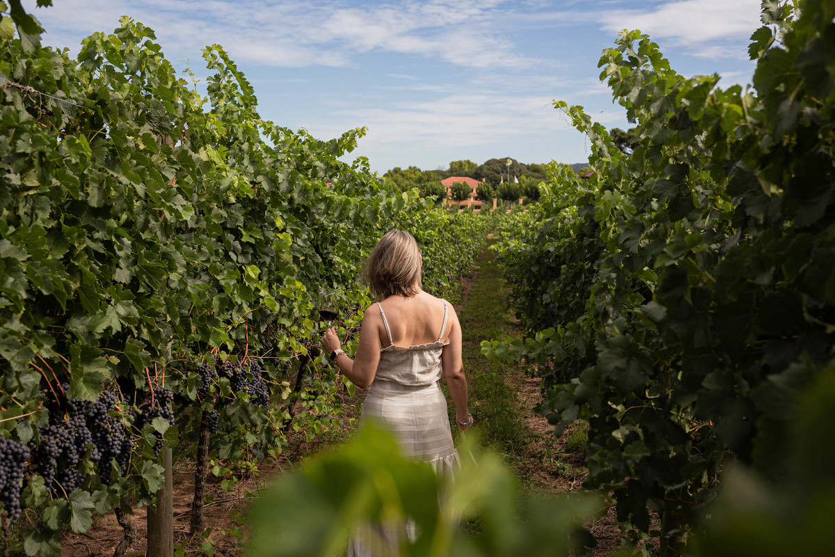 Vinhedos Amor História Fotografia Aline Bortolini Fotografia Fotógrafo no vale dos vinhedos Case na Serra Gaúcha Garibaldi Bento Gonçalves Ensaio de casal Ensaio externo Bodas de prata Vinho Celebração