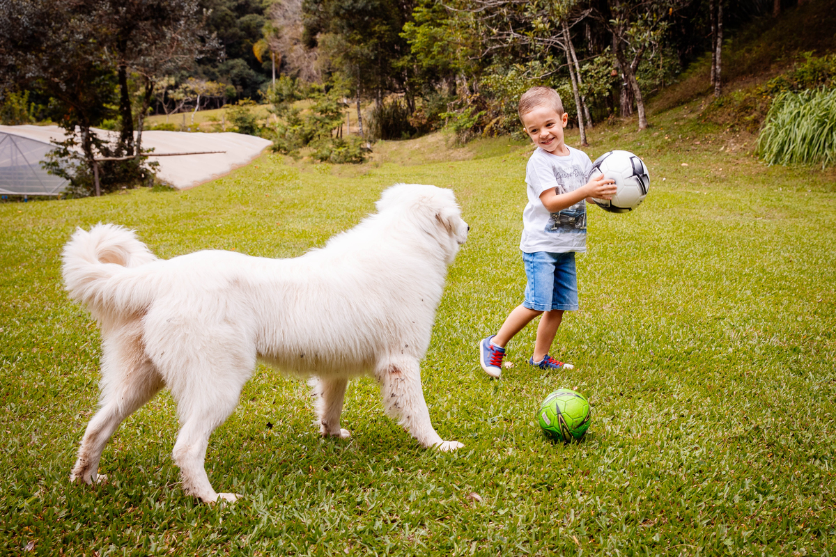 crianças infantil aline bortolini fotografia fotógrafa em garibaldi fotografia garibaldi fotografia externa fotos em família fotografia infantil vale dos vinhedos serra gaúcha porto seguro amor e afeto Essência porto seguro, virtudes, lar, família