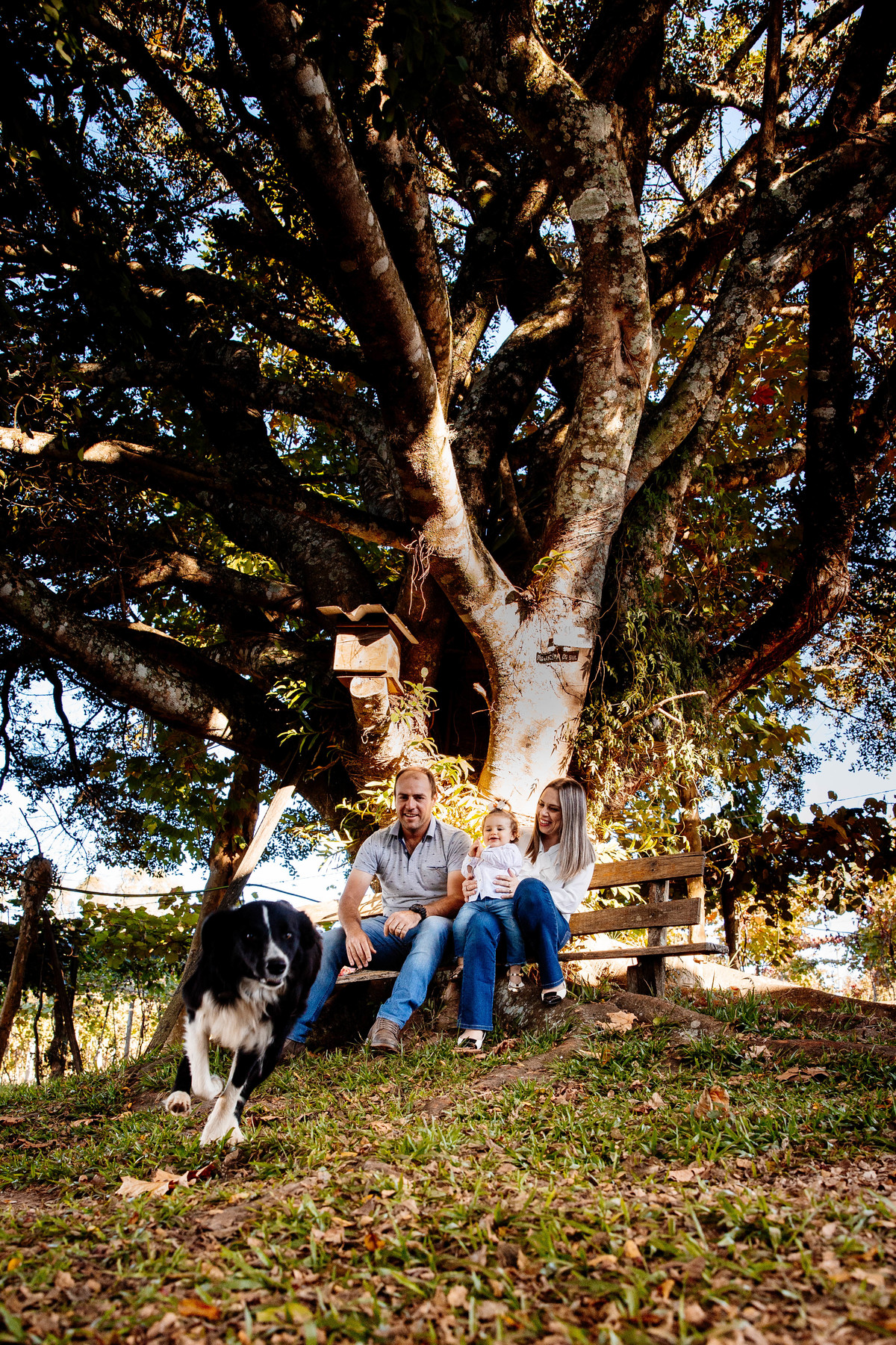 crianças infantil aline bortolini fotografia fotógrafa em garibaldi fotografia garibaldi fotografia externa fotos em família fotografia infantil vale dos vinhedos serra gaúcha porto seguro amor e afeto Essência porto seguro, virtudes, lar, família 