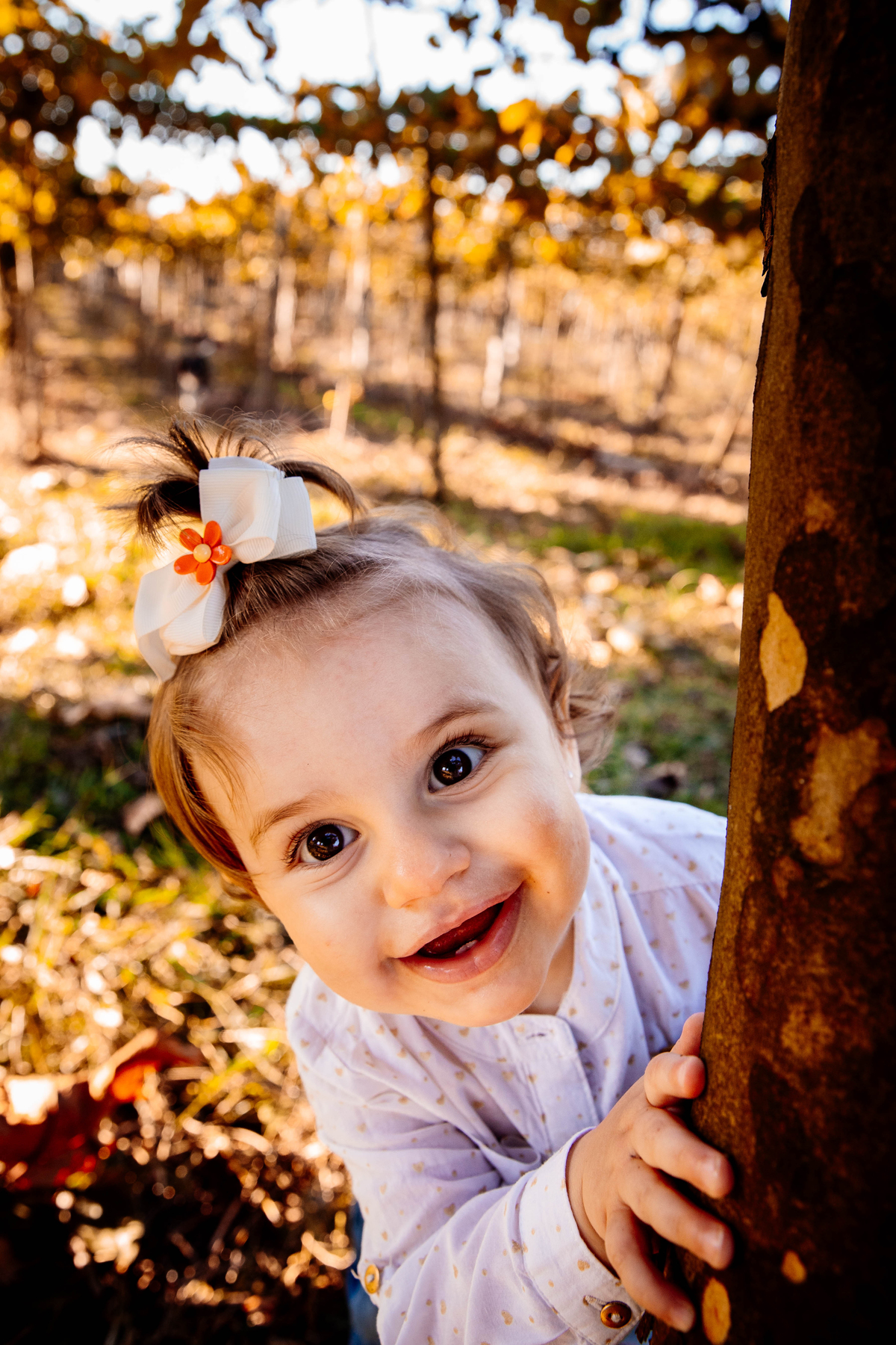 crianças infantil aline bortolini fotografia fotógrafa em garibaldi fotografia garibaldi fotografia externa fotos em família fotografia infantil vale dos vinhedos serra gaúcha porto seguro amor e afeto Essência porto seguro, virtudes, lar, família 