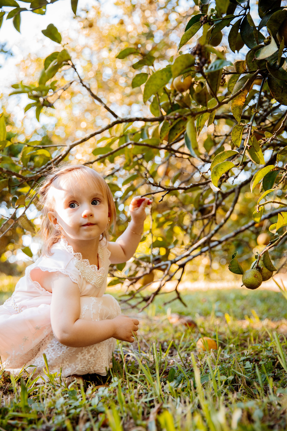 crianças infantil aline bortolini fotografia fotógrafa em garibaldi fotografia garibaldi fotografia externa fotos em família fotografia infantil vale dos vinhedos serra gaúcha porto seguro amor e afeto Essência porto seguro, virtudes, lar, família 