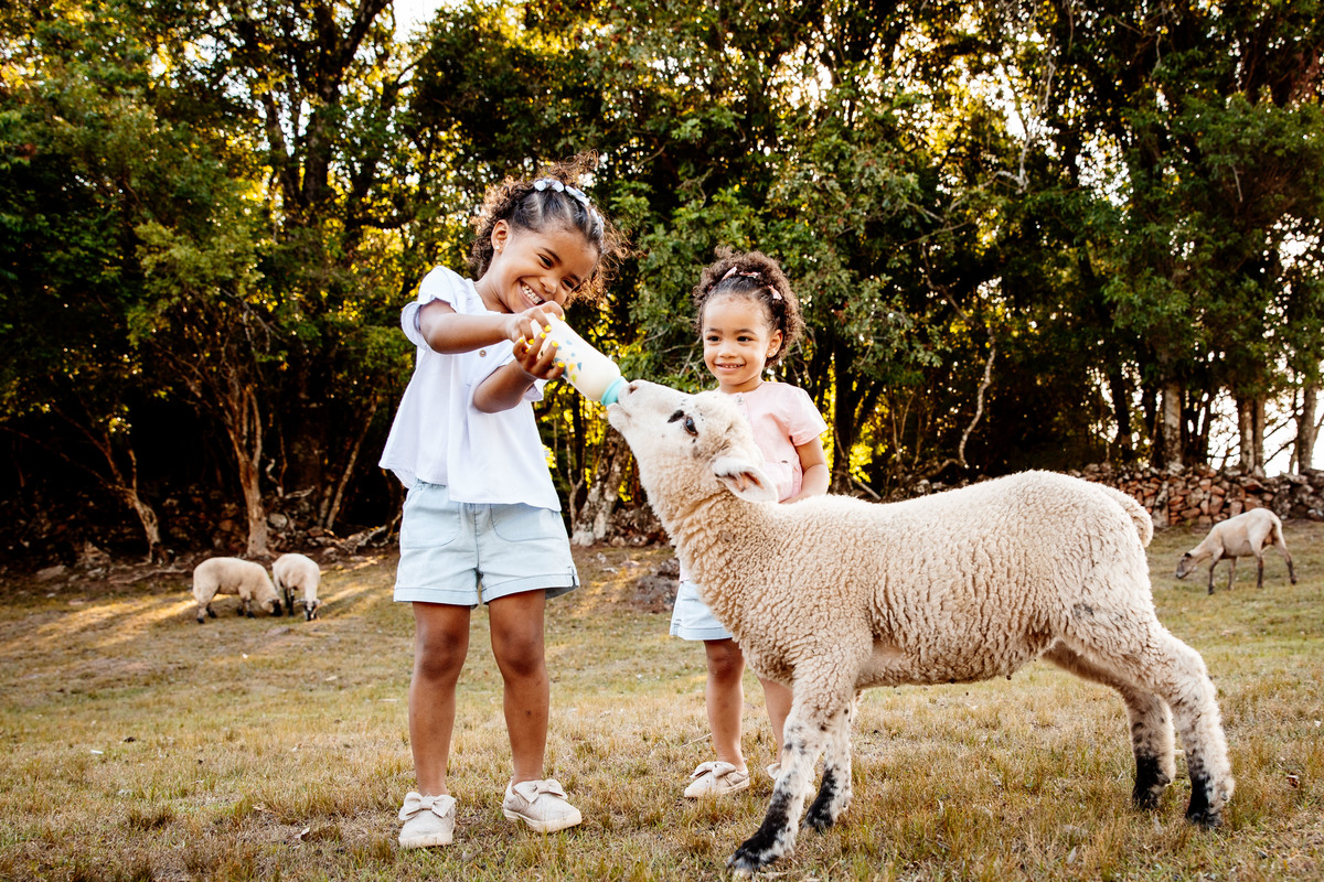 crianças infantil aline bortolini fotografia fotógrafa em garibaldi fotografia garibaldi fotografia externa fotos em família fotografia infantil vale dos vinhedos serra gaúcha porto seguro amor e afeto Essência porto seguro, virtudes, lar, família 
