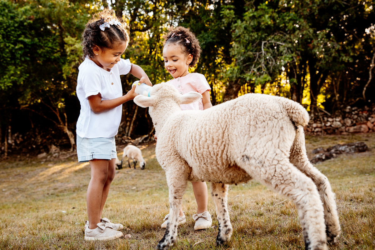 crianças infantil aline bortolini fotografia fotógrafa em garibaldi fotografia garibaldi fotografia externa fotos em família fotografia infantil vale dos vinhedos serra gaúcha porto seguro amor e afeto Essência porto seguro, virtudes, lar, família 