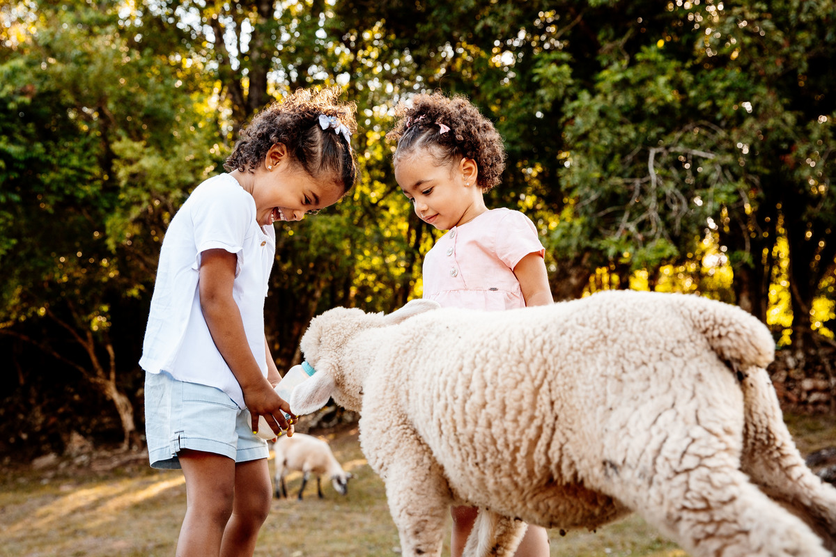 crianças infantil aline bortolini fotografia fotógrafa em garibaldi fotografia garibaldi fotografia externa fotos em família fotografia infantil vale dos vinhedos serra gaúcha porto seguro amor e afeto Essência porto seguro, virtudes, lar, família 