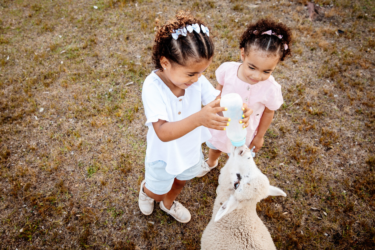 crianças infantil aline bortolini fotografia fotógrafa em garibaldi fotografia garibaldi fotografia externa fotos em família fotografia infantil vale dos vinhedos serra gaúcha porto seguro amor e afeto Essência porto seguro, virtudes, lar, família 
