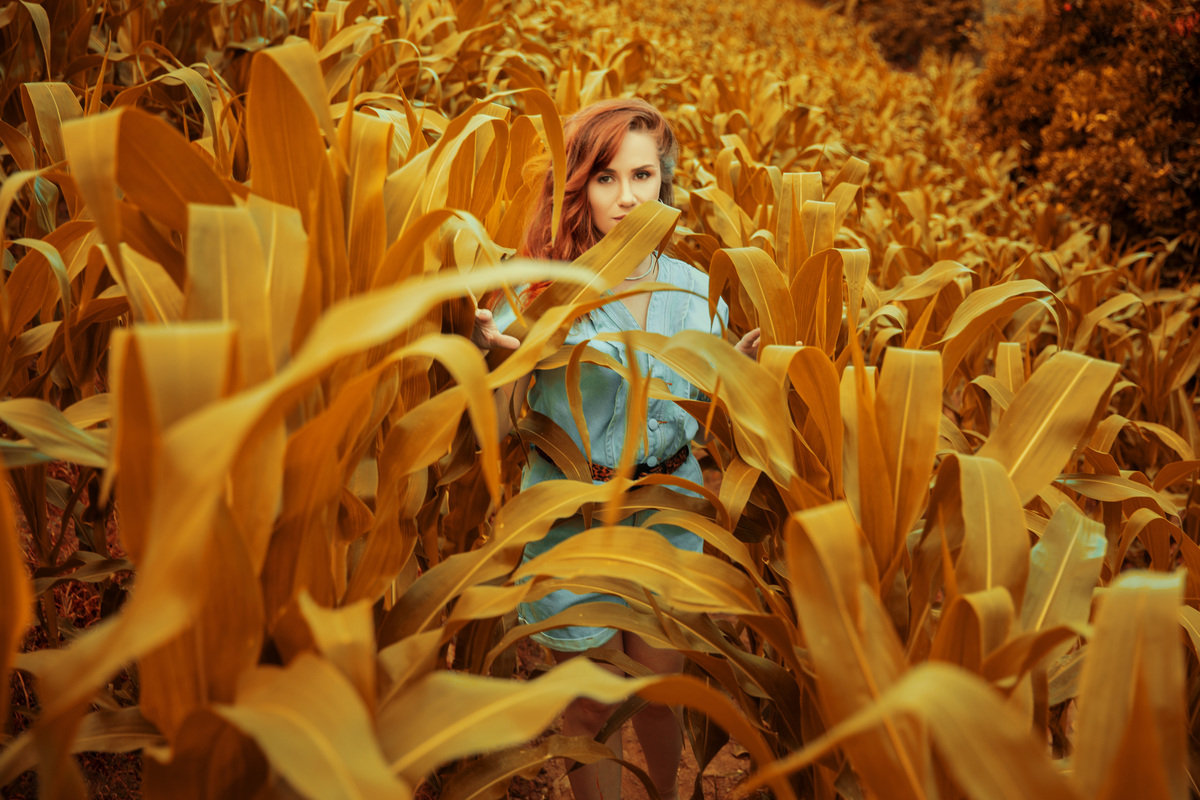 Aurora Cinabre Aline Botolini Elias Langer Aline Bortolini Fotografia Ensaio Onírico Tons quentes Ensaio fotográfico Ensaio externo Sessão de fotos Fotografia Fotógrafos em Garibaldi Garibaldi Serra Gaúcha Ensaio feminino Vale dos vinhedos Projeto de foto