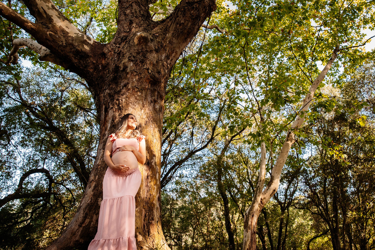 Ensaio Gestante Gestação  Bebê à Bordo Fotografia de gestante Fotógrafos em Garibaldi Fotografia em garibaldi Aline Bortolini Aline Bortolini Fotografia Fotografia em Bento Gonçalves Doce espera Fotografia no vale dos vinhedos Mãe de menino família