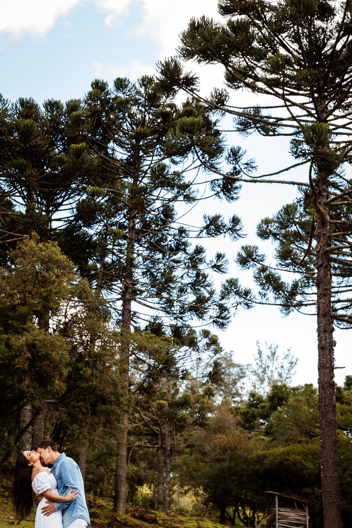 pré casamento
Ensaio de casal
Aline Bortolini Fotografia
Fotógrafo no vale dos vinhedos
Case na Serra Gaúcha