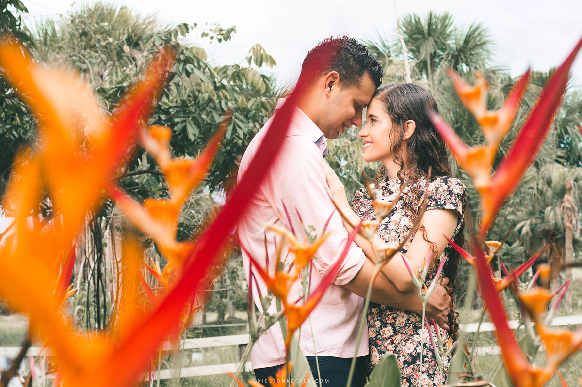 fotos de noivos em meio a flores