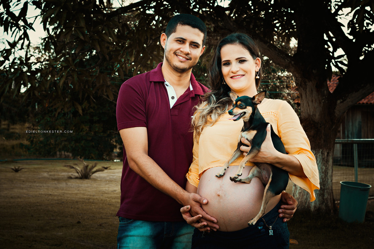 família em ensaio de gestação com cachorros