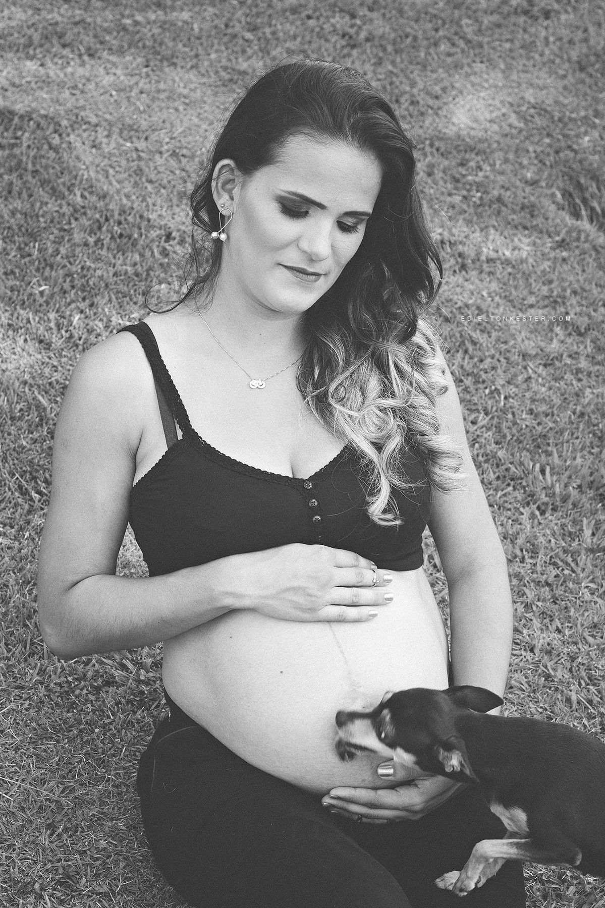 cachorrinho beijando a barriga da gestante