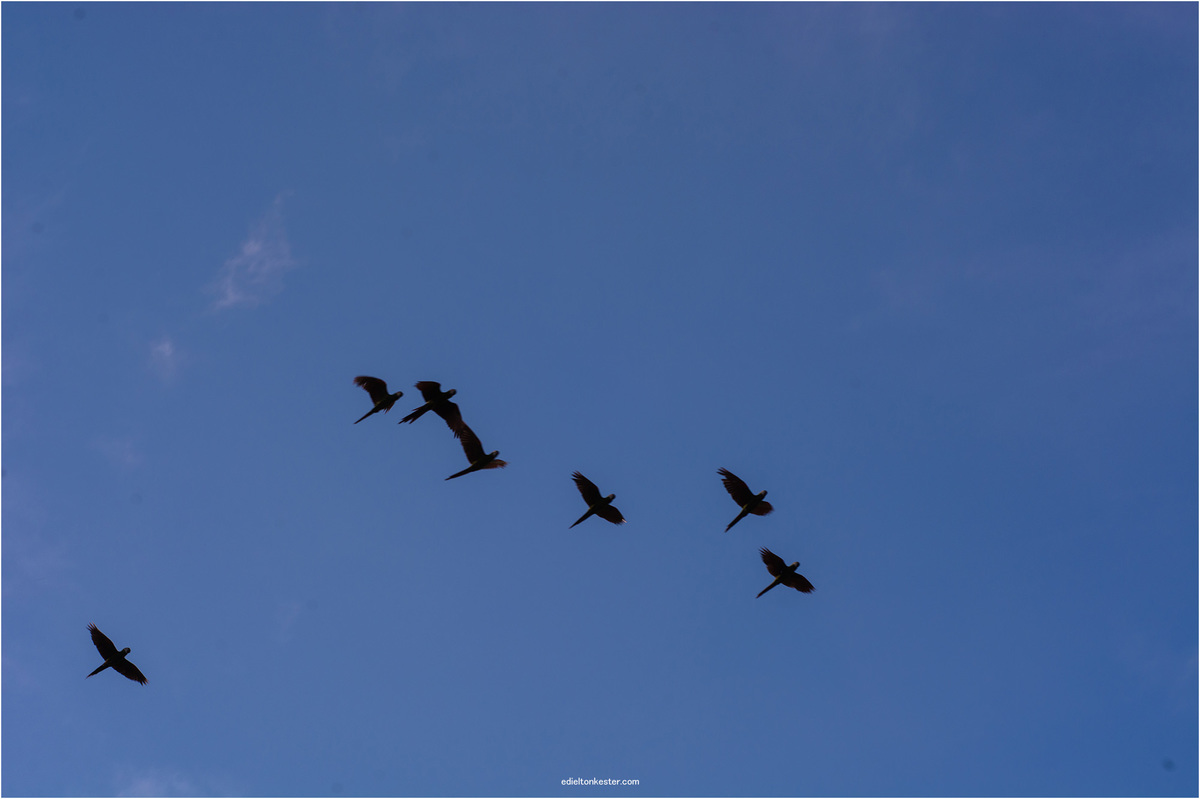 Casamento Civil, Noivos, Fotografo Edielton Kester, Edielton Kester
