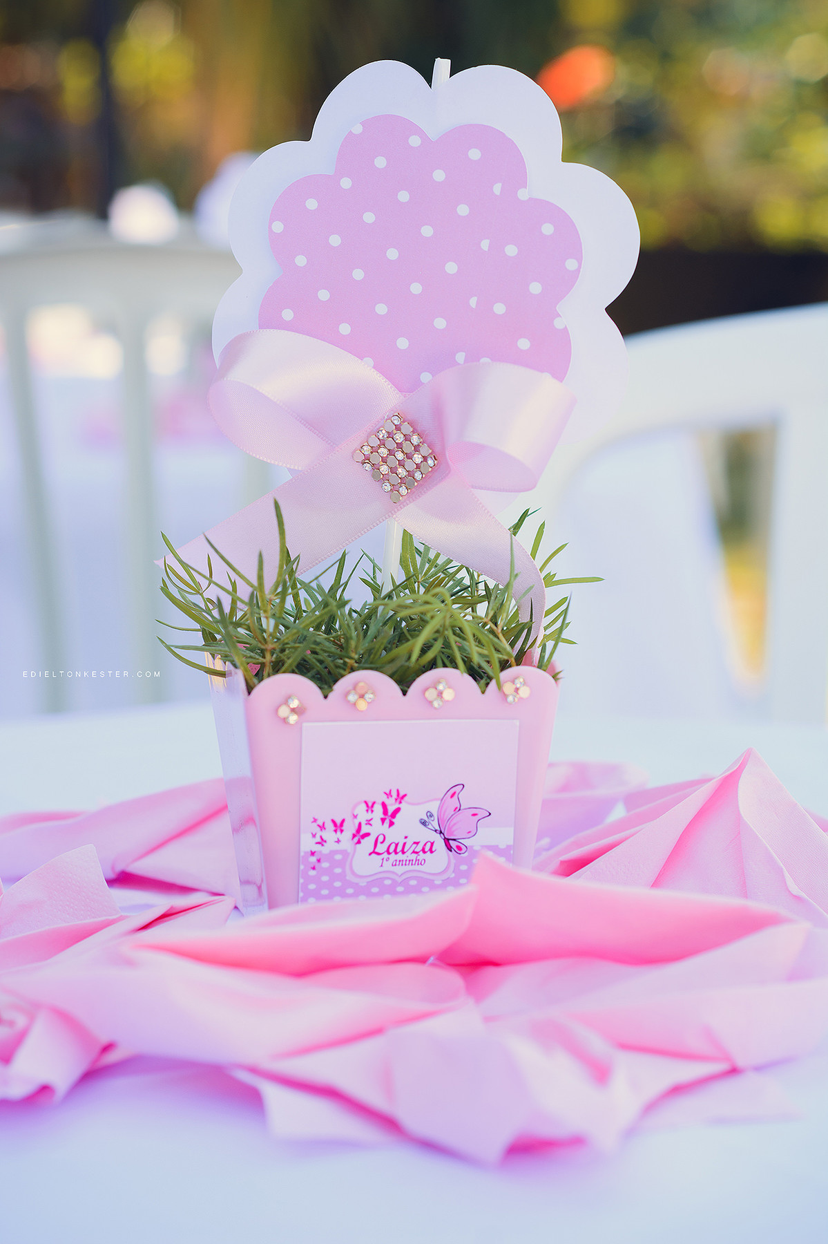 decoração de aniversário infantil 01 aninho da laiza aniversário em rolim de moura pelo fotografo de casamento edielton kester