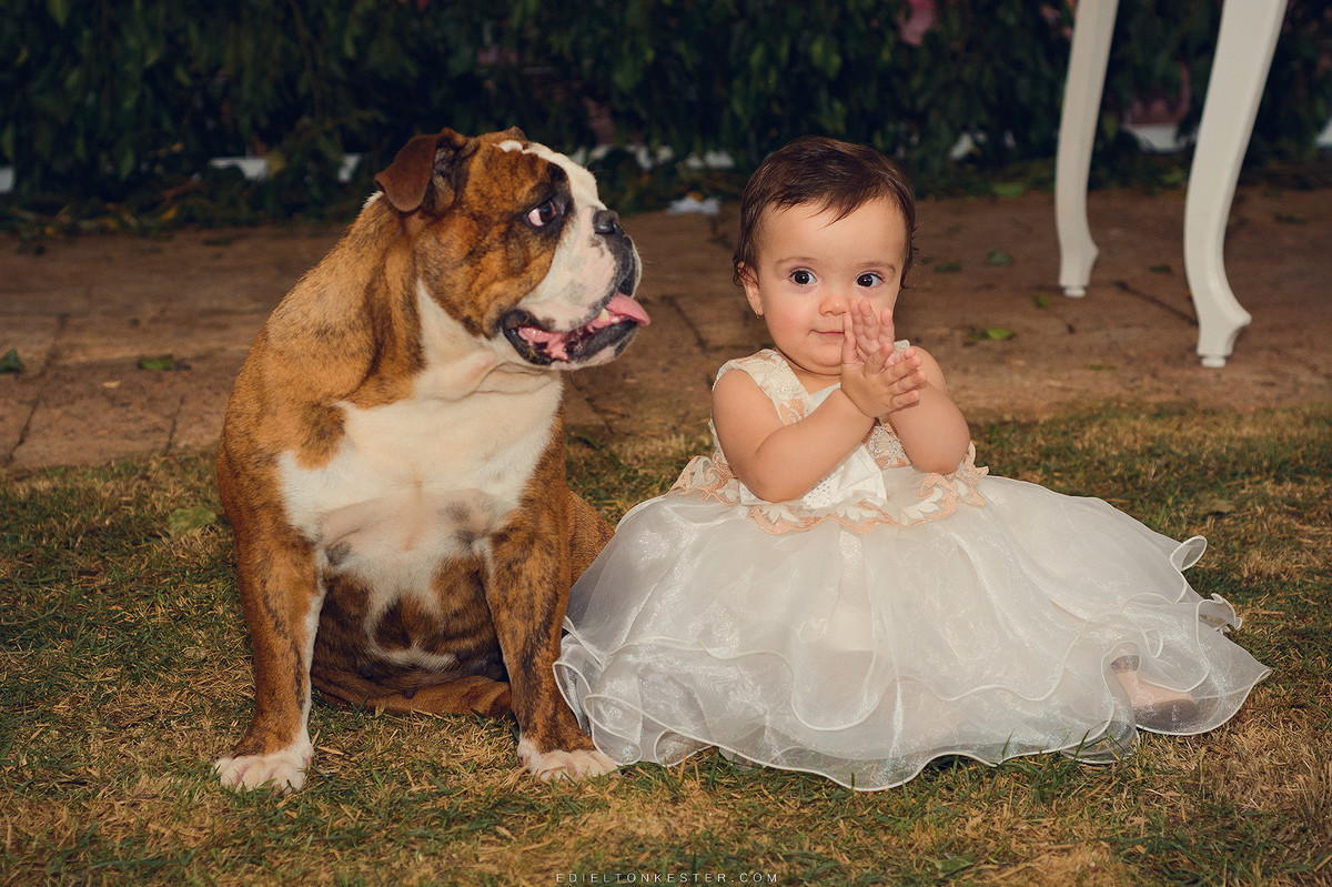 criança cantando parabens e cachorro sorrindo em aniversario da laiza 1 aninho pelo fotografo de casamentos e familias edielton kester
