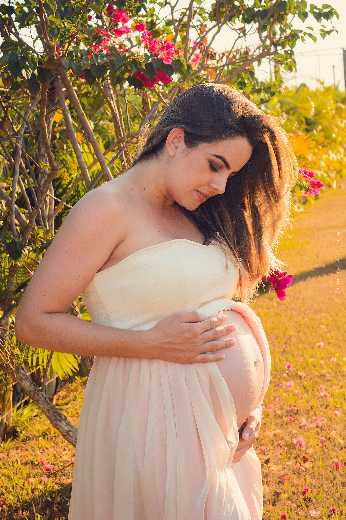 mulher gravida acariciando a barriga