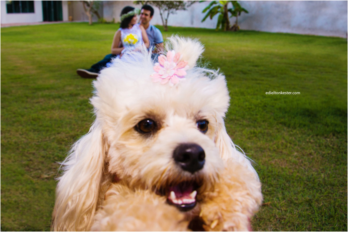 casamentos, casamento, fotografos ro, fotografos rondonia, casamentos ro, casamentos rondonia, edielton kester, casamento civil
