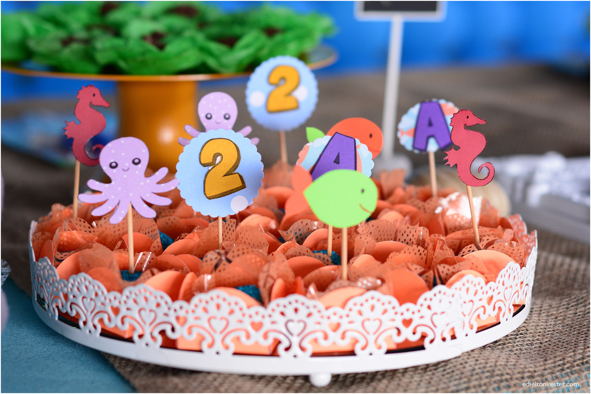 Edielton Kester, aniversário infantil, crianças, adam 2 anos, fotografos ro, fotografos rondonia, fotografos de rondonia