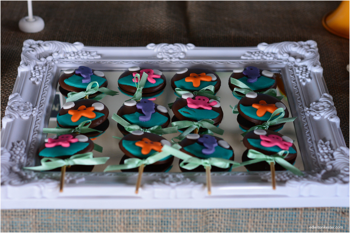 Edielton Kester, aniversário infantil, crianças, adam 2 anos, fotografos ro, fotografos rondonia, fotografos de rondonia