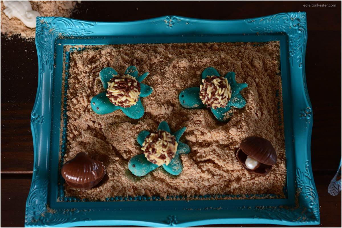 Edielton Kester, aniversário infantil, crianças, adam 2 anos, fotografos ro, fotografos rondonia, fotografos de rondonia