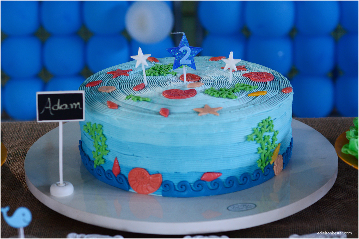 Edielton Kester, aniversário infantil, crianças, adam 2 anos, fotografos ro, fotografos rondonia, fotografos de rondonia