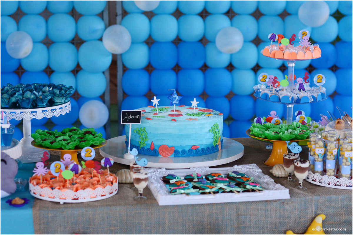 Edielton Kester, aniversário infantil, crianças, adam 2 anos, fotografos ro, fotografos rondonia, fotografos de rondonia