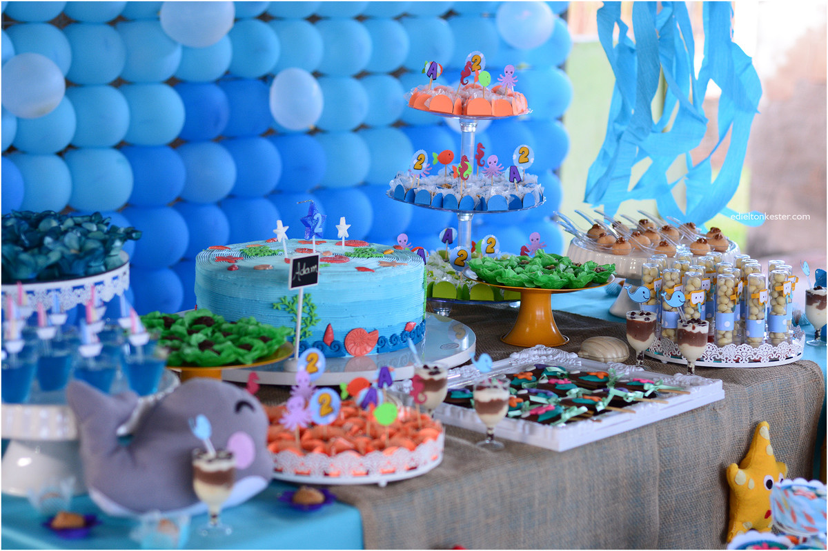 Edielton Kester, aniversário infantil, crianças, adam 2 anos, fotografos ro, fotografos rondonia, fotografos de rondonia