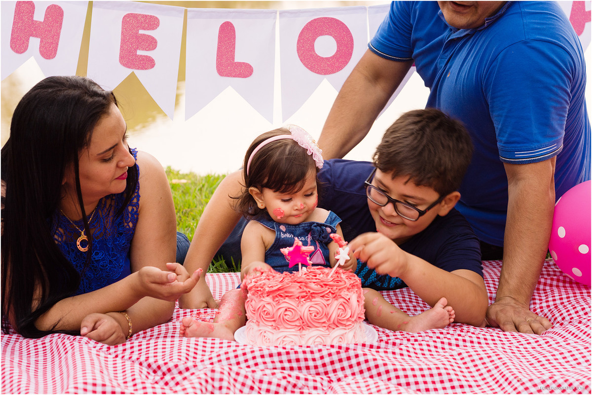 smash, 1 aninho, bolo, smash the cake