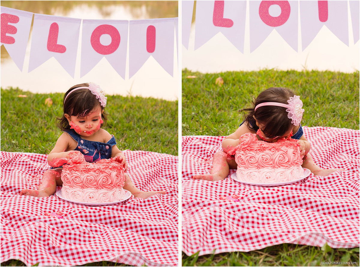 smash, 1 aninho, bolo, smash the cake