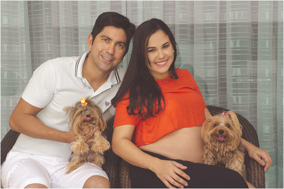 gestante fazendo fotos da gestação sentada na cadeira com cachorros