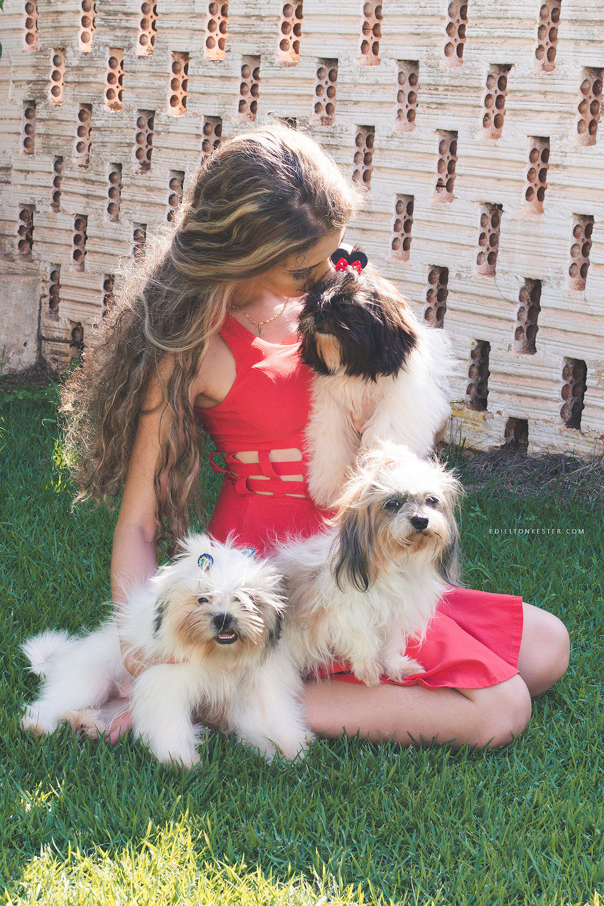 ensaio de 15 anos com menina fazendo carinho em suas cachorrinhas