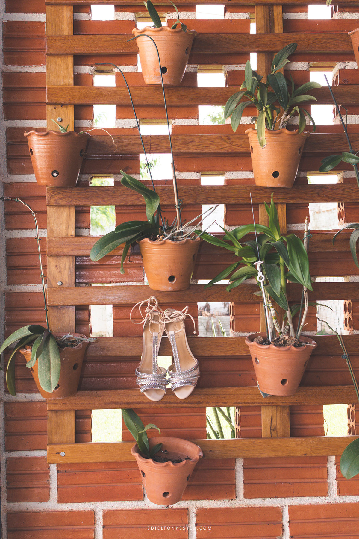 sapato de 15 anos em meio a flores