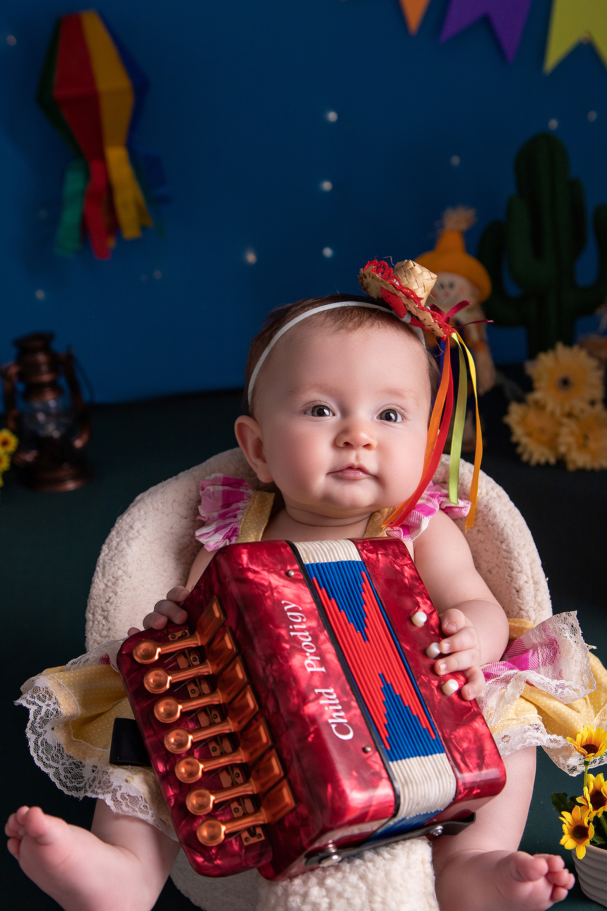 Acompanhamento do bebê - 6 Meses