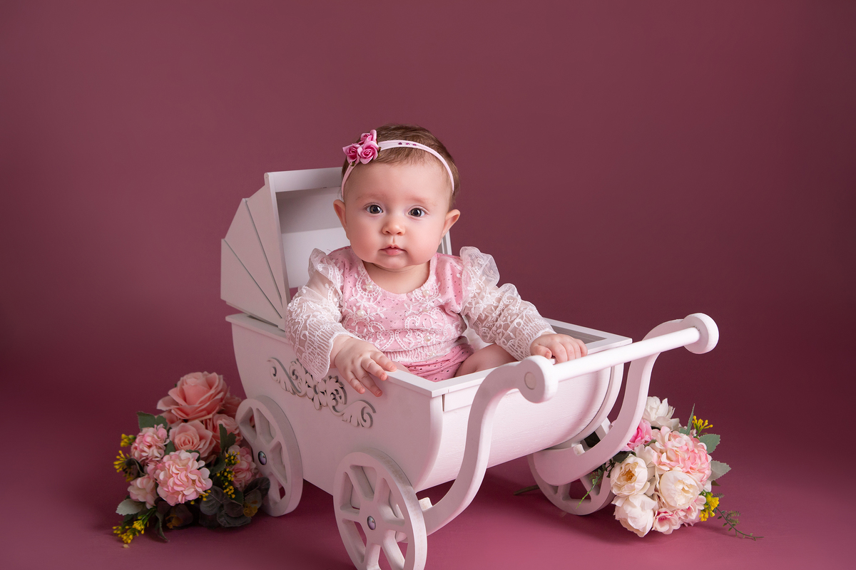 Acompanhamento do bebê - 6 Meses