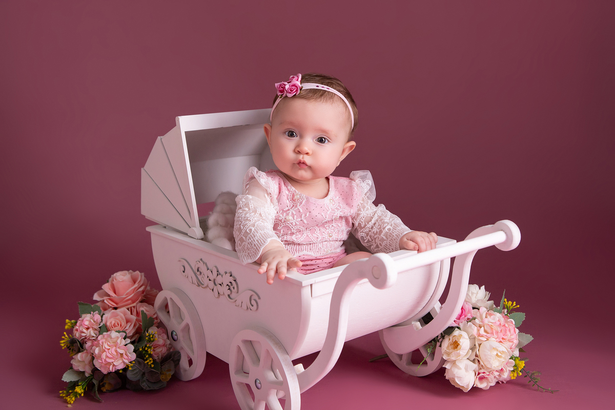 Acompanhamento do bebê - 6 Meses